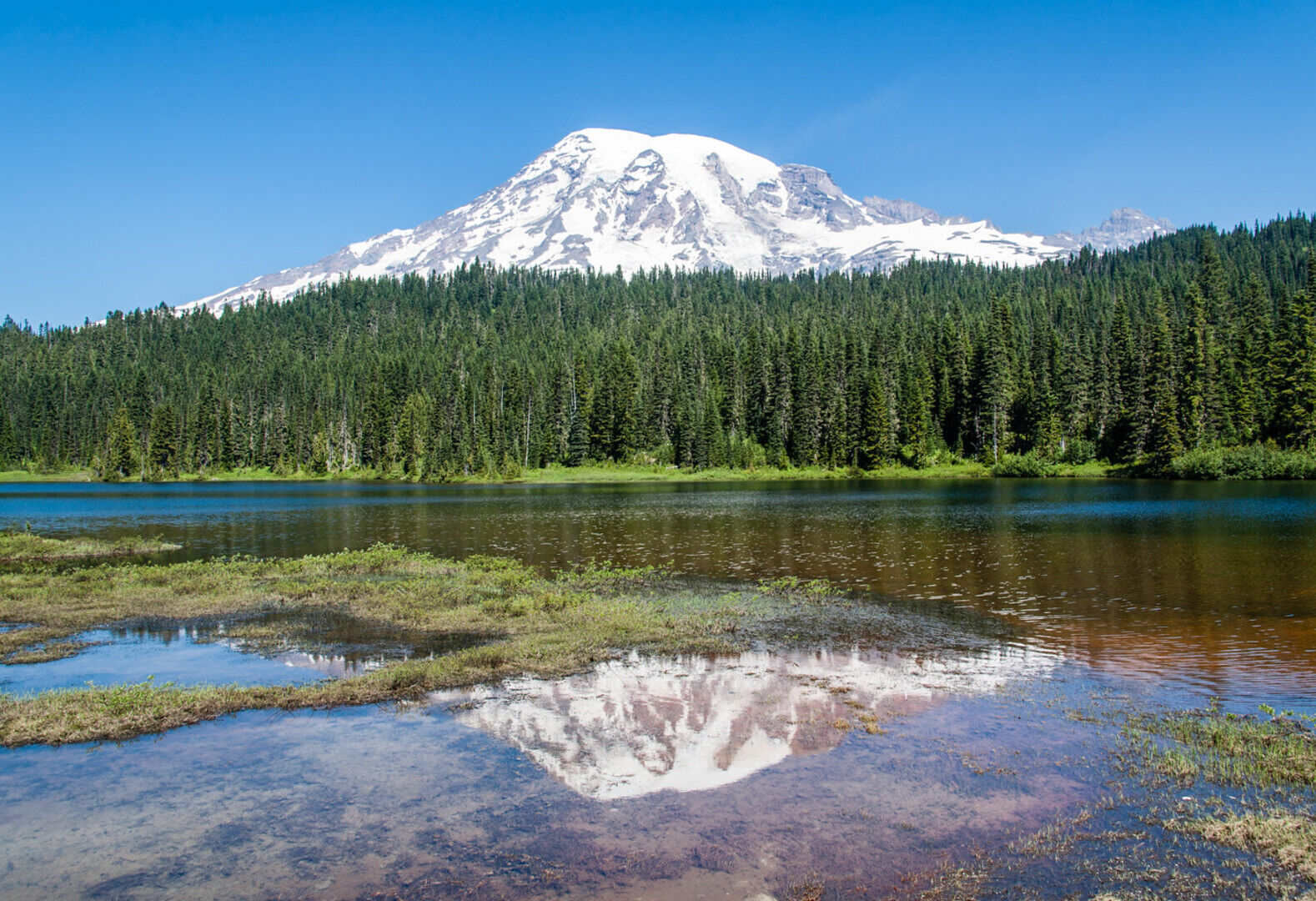 Mount Rainier reflected in alpine lake