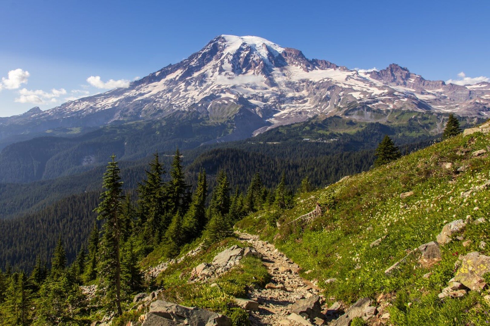 Mount Rainier