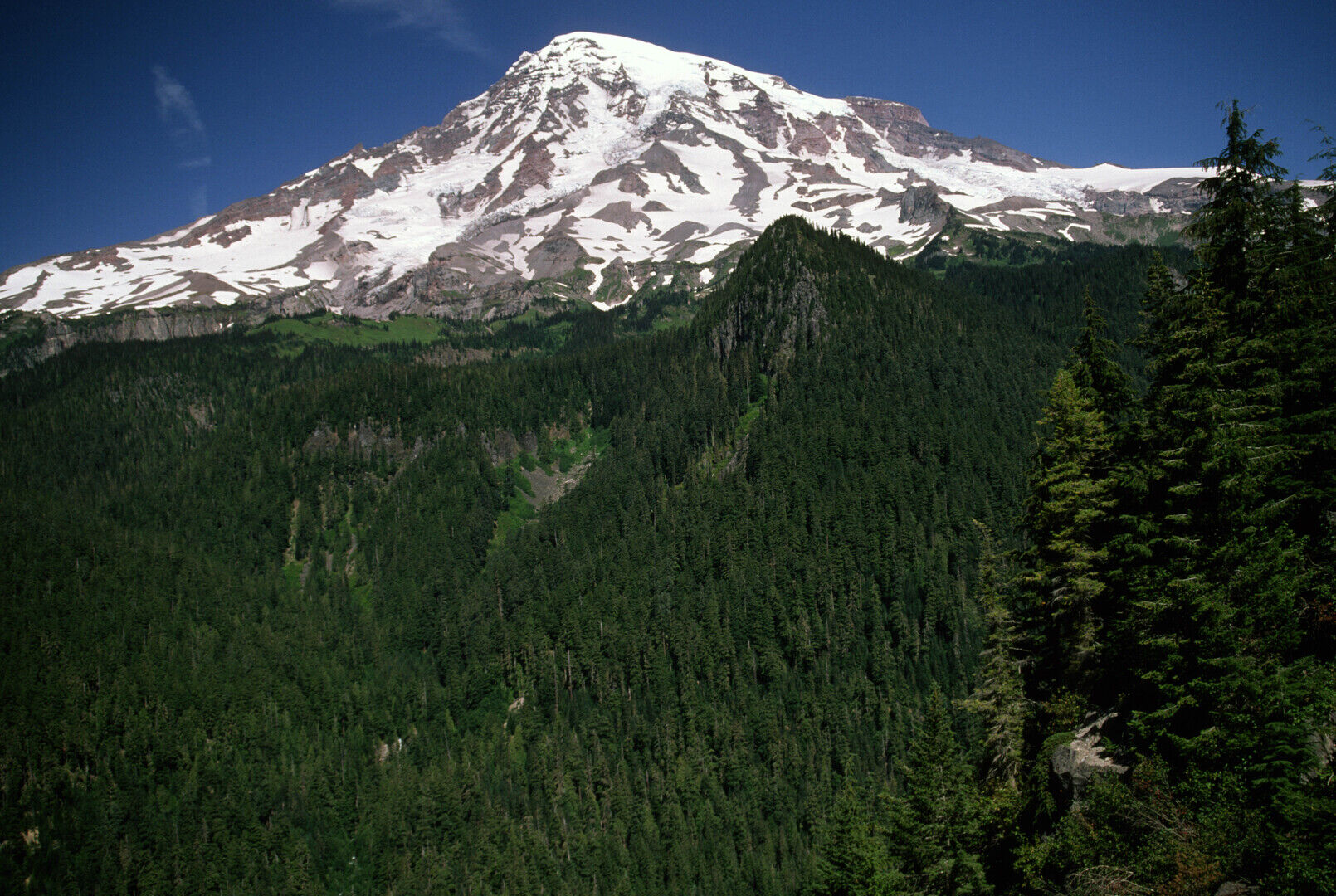 Mount Rainier Photography Tour