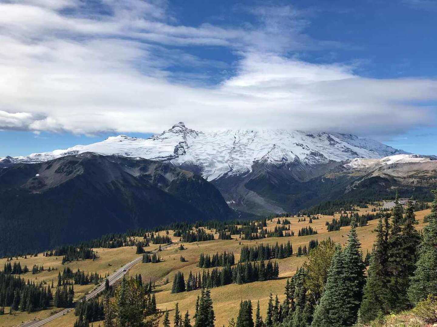 Mount Rainier in the background and forested slopes